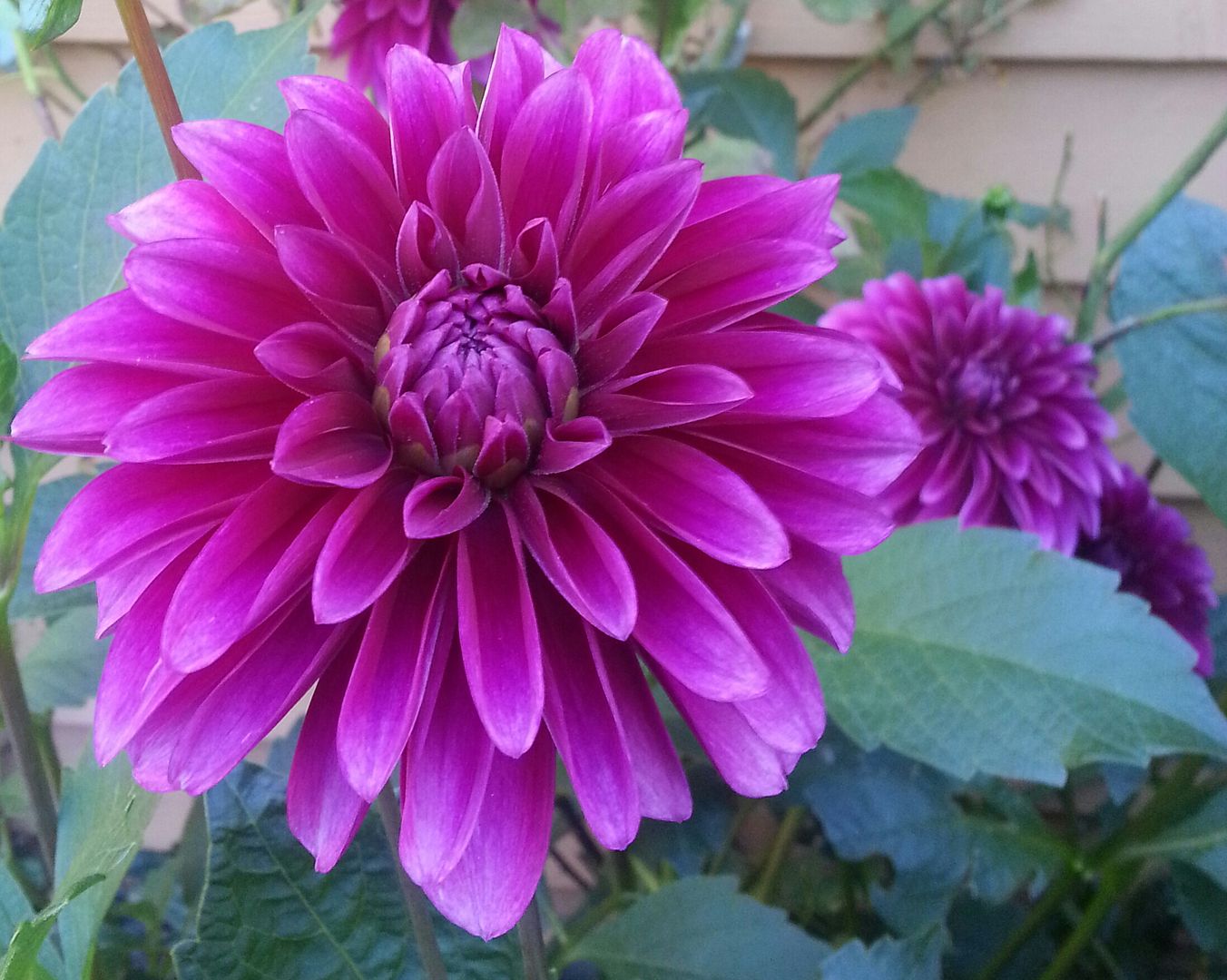  photo 20140913_092346-1_zpsrns7e6my.jpg